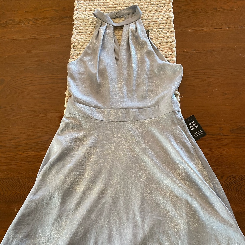 Silver Express Dress Size XS